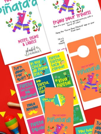 collage image of Cinco de Mayo gift tags with maracas