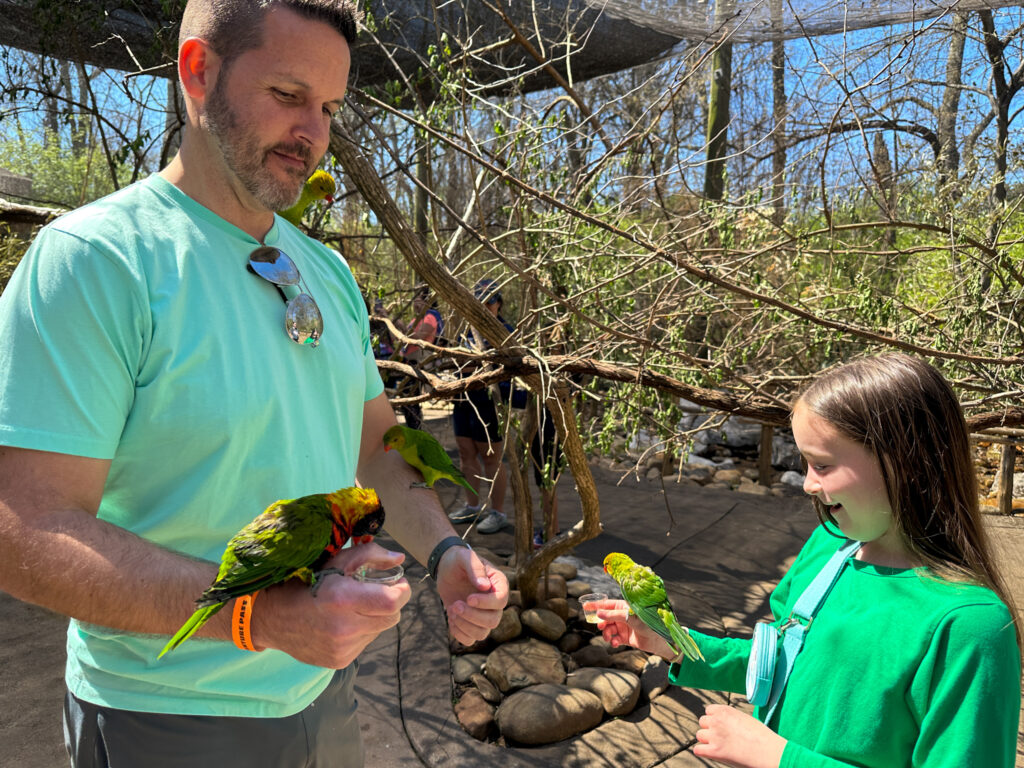 dad and Arkansas kid blogger, Norah, holding lorikeets during Nashville itinerary with kids visit