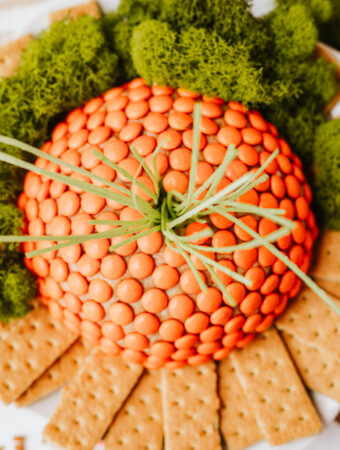 carrot cheese ball for Easter in overhead shot