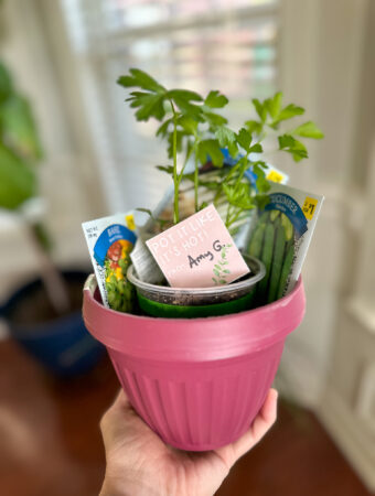 free printable plant gift tags in red pot with herb and seeds