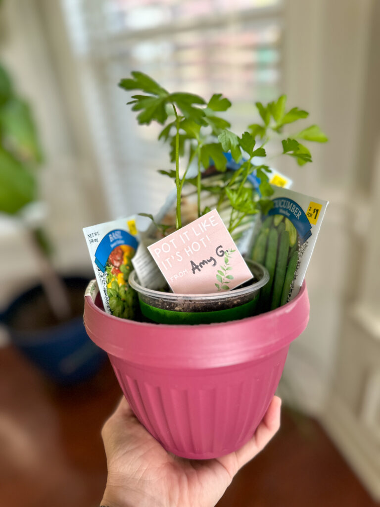 free Pot It Like It's Hot gift tag for plants in red pot with herbs and seed packets